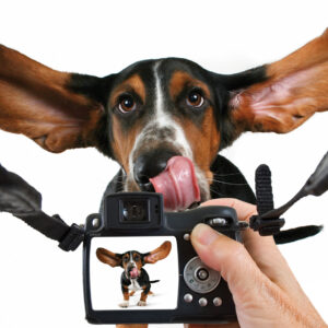 Erlebe dein Hunde Fotoshooting mit Jochen Schweizer: 3 Jahre Gültigkeit Flexbile Terminwahl Sofort lieferbar Jetzt erleben!