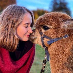 Übernachtet gemeinsam auf einer Alpakafarm mit Blick auf die Weide und erlebt die Tiere hautnah bei einer Wanderung! 2 Personen - 1 Nacht - Frühstück inklusive