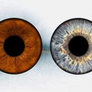 Ausdrucksstark und faszinierend: Mit der Iris-Fotografie wird dein Auge zum echten Hingucker und einzigartigen Kunstwerk! Inkl. 1 Foto als Datei