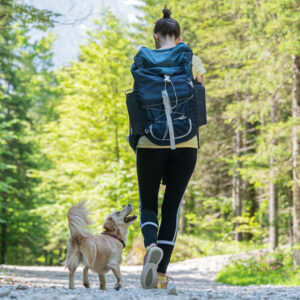 Genieße Natur pur und gemeinsame Abenteuer mit deinem Vierbeiner beim Urlaub mit Hund im Harz! Frühstück und Abendessen inklusive.