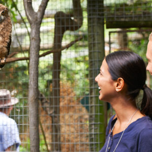 Kommt nach Braunschweig und erkundet die Stadt und den Zoo. Das ganze inklusive Frühstück. Also packt eure Koffer und es geht los!