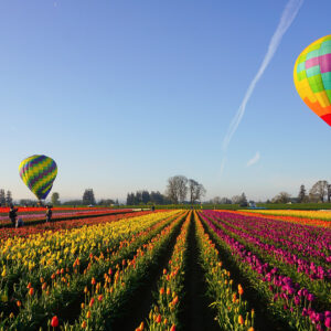 Steige lautlos in den Himmel und erlebe magische Momente bei einer Ballonfahrt! Inkl. Champagnertaufe