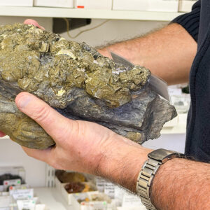 Mineralogie entdecken in Göttingen! Grundlagenkurs für Einsteiger: Erfahre alles über Mineralien