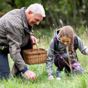 Entdecke die Welt der Wildkräuter! Geführte Kräuterwanderung mit Experten: Bestimmung