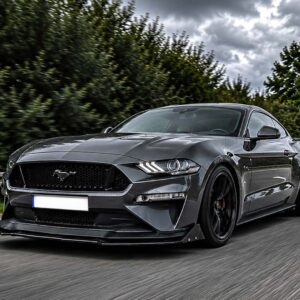 Erlebe puren Adrenalin: Fahre einen Ford Mustang 5.0 einen Tag lang durch Nordstemmen. Unbändige Kraft